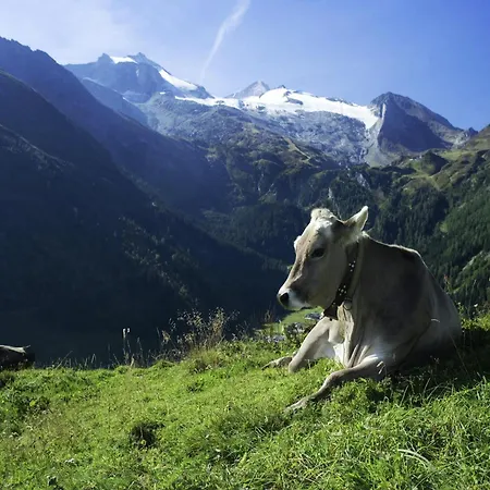 In Near Slopes 아파트