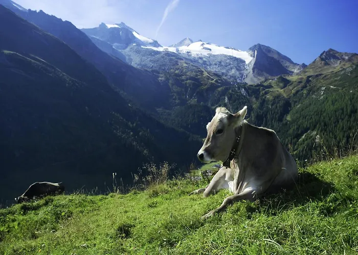 In Near Slopes شقة